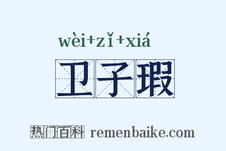 卫子瑕是什么意思的图片